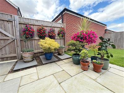 Picture 30